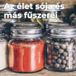 Az élet sója és más fűszerei Fűszeres kvíz