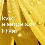 A sárga szín titkai Kvíz: a sárga szín titkai