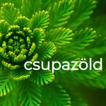 Csupazöld kvíz Csupazöld kvíz