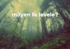 Milyen fa levele? Milyen fa levele?