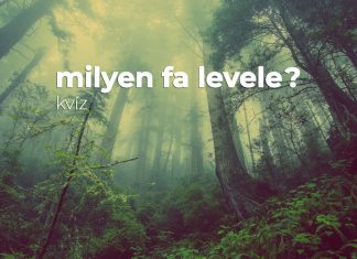 Milyen fa levele? Milyen fa levele?