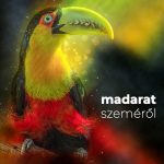 Felismered a madarakat a szemükről? Madarat szeméről