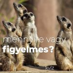 Mennyire vagy figyelmes? Kvíz: mennyire vagy figyelmes?
