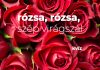 Rózsa, rózsa, szép virágszál Rózsa