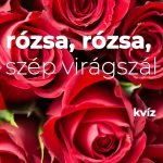 Rózsa, rózsa, szép virágszál Rózsa