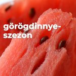 Görögdinnyeszezon Görögdinnyeszezon