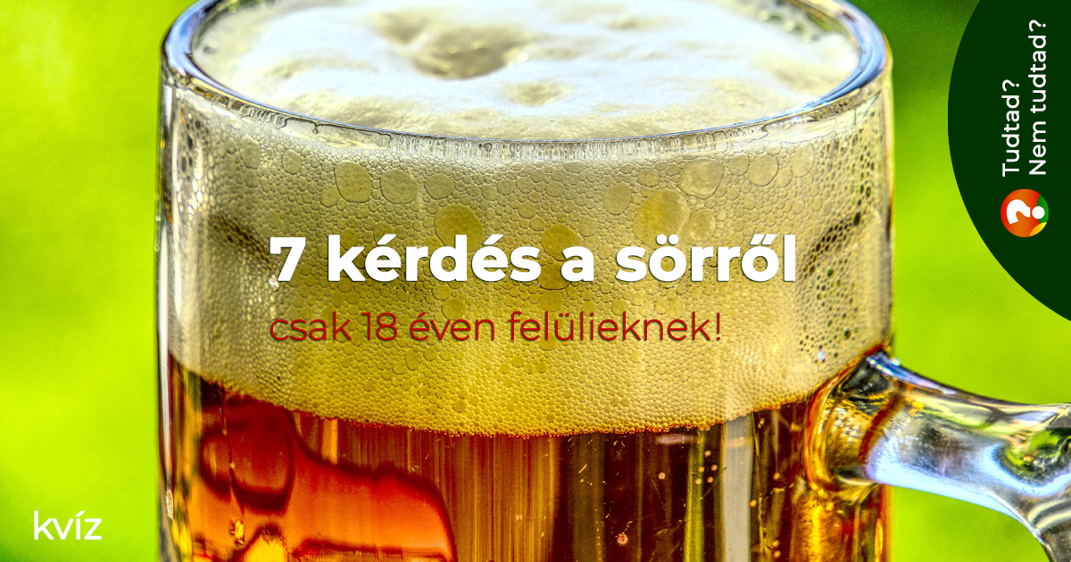 7 kérdés a sörről