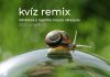 Kvíz remix: július 6–10. között ezekre a kérdésekre érkezett a legtöbb helyes válasz Könnyű kérdések