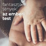 Fantasztikus tények: az emberi test Emberi test