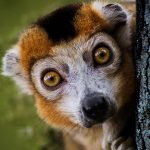 Meglepő tények kvíze (2. rész) Meglepő tények kvíze 2.