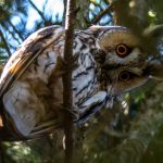 Meglepő tények kvíze (3. rész) Meglepő tények 3.