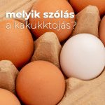 Melyik szólás a kakukktojás? Melyik szólás a kakukktojás?