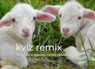 Kvíz remix: augusztus 3–7. között ezekre a kérdésekre érkezett a legtöbb helyes válasz Remix könnyű kérdések