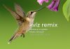 Kvíz remix: augusztus 17–21. között ezekre a kérdésekre érkezett a legtöbb helyes válasz Könnyű kérdések