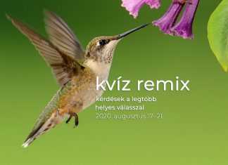 Kvíz remix: augusztus 17–21. között ezekre a kérdésekre érkezett a legtöbb helyes válasz Könnyű kérdések