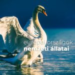 Európai országok nemzeti állatai Európai országok nemzeti állatai