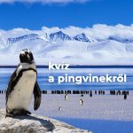 Kvíz a pingvinekről Kvíz a pingvinekről