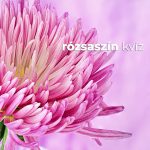 Rózsaszín kvíz Rózsaszín kvíz