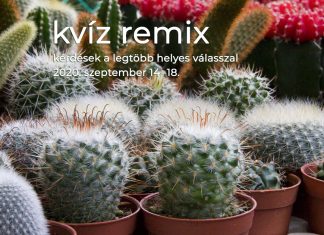 Kvíz remix: szeptember 14–18. között ezekre a kérdésekre érkezett a legtöbb helyes válasz Könnyű kérdések