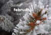 Február 1. Kvíz - február 1.
