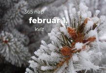 Február 1. Kvíz - február 1.