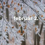 Február 2. Kvíz - február 2.