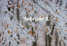 Február 2. Kvíz - február 2.