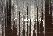 Február 4. Kvíz - február 4.