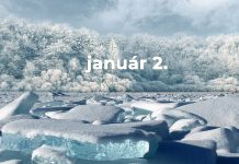 Január 2. Kvíz - január 2.
