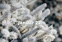 Január 22. Kvíz - január 22.