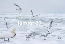 Január 23. Kvíz - január 23.
