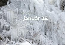 Január 25. Kvíz - január 25.