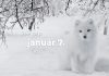 Január 7. Kvíz - január 7.