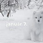Január 7. Kvíz - január 7.