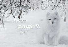 Január 7. Kvíz - január 7.