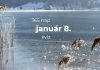 Január 8. Kvíz - január 8.