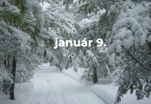 Január 9. Kvíz - január 9.