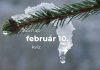 Február 10. Kvíz - február 10.