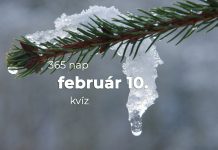 Február 10. Kvíz - február 10.