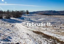 Február 11. Kvíz - február 11.