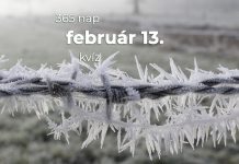 Február 13. Kvíz - február 13.