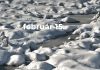 Február 15. Kvíz - február 15.