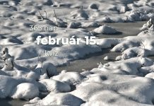 Február 15. Kvíz - február 15.