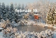 Február 19. Kvíz - február 19.