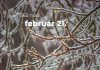 Február 21. Kvíz - február 21.