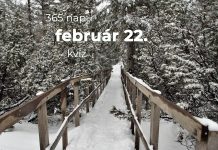 Február 22. Kvíz - február 22.