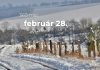 Február 28. Kvíz - február 28.