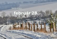 Február 28. Kvíz - február 28.