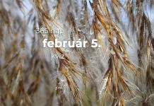Február 5. Kvíz - február 5.