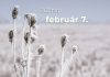 Február 7. Kvíz - február 7.